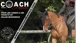 COACH EN DIRECT 2 exercices simples pour connecter le mental de votre cheval à vous.