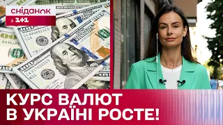 ДОЛАР по 41, ЄВРО по 45! Чи зростатиме курс валют надалі?