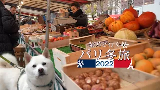 〖2022 パリ冬旅3/12〗パリのマルシェ モンパルナスの朝市【環境音 / 4K】Kaki-Maru the Shiba Inu