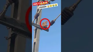 OMG 😢😱 Monkey 🐒 sitting on High Voltage line 25KV #ytshorts #shorts