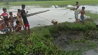 Fishing, Mass mara