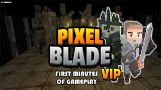 First minutes of Pixel Blade M VIP