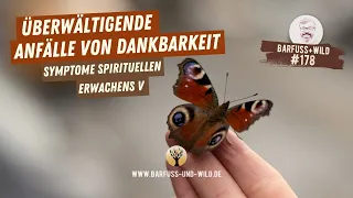 #178 - Überwältigende Anfälle von Dankbarkeit