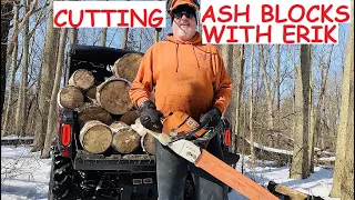 FIREWOOD - Cutting ash firewood blocks with Stihl MS460 chainsaw