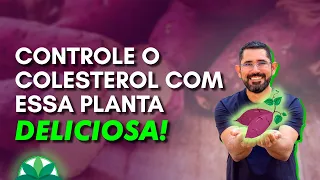 Como controlar o COLESTEROL com uma planta fácil?