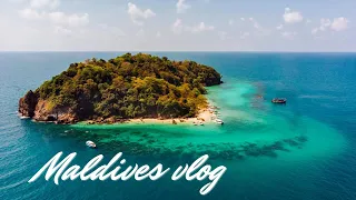 Maldives 🇲🇻 Beautiful Eriyadu island resort full tour #travel #beach #viral