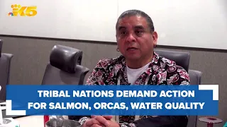 Tribal nations join together to demand action for salmon, orcas and water quality