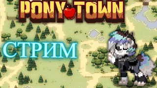 Pony Town - стрим (Общаемся, сидим) feat. XL Pirs и Den