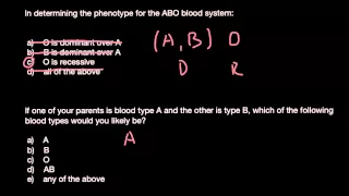 ABO blood groups practice problems