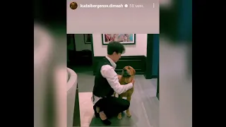 Диарс! Видео из Америки! Димаш, он тебе нравится?😊Video from America! Dimash, do you like him?😊