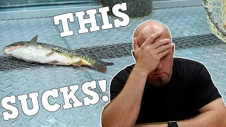 Aquariums SUCK! Here's The Top 10 Reasons Why!