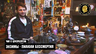 Чай с Цукербергом - ЭНЗИМЫ - пилюли бессмертия