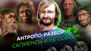 Сапиенсы и не совсем... Станислав Дробышевский. #Антропо_разбор 5