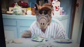 ALF song " Lay down my fork and spoon "