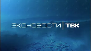 Исчезновение дельфинов и собранный мусор на Байкале / «Эконовости»