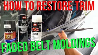 How to Restore Lexus IS300 Door Trim Belt Molding and Mirrors | Door Handle Removal