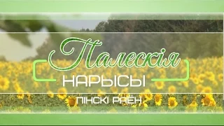 Палескія нарысы 31-07-16