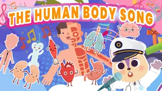 🫀 Human Body Song for kids | Easy way to learn about the Organs | Brain, Heart, Lungs, Kidneys 🧠