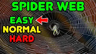 How do Spiders Weave Webs? Different difficulty levels