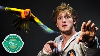 250+ BEST LOGAN PAUL VINE Compilations 2015 All Logan Paul Vines w Titles