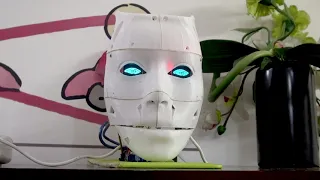 Make Your Own IoT Face Recognition AI Robot