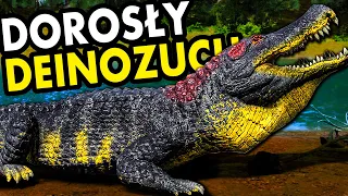 MAM DOROSŁEGO DEINOZUCHA! CZAS NA POLOWANIE NA DINOZAURY - THE ISLE EVRIMA