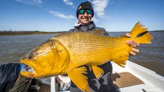 I Fished For Massive Golden Dorado In Argentina!