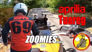 Aprilia Tuareg 660 | Zoomies to Loomies