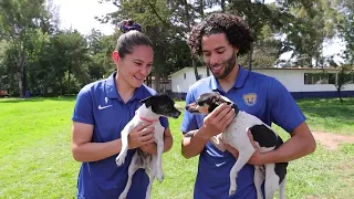 Pumas visita la Brigada de Vigilancia Animal.