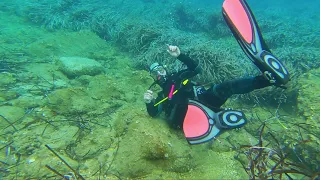 Unterwasser Impressionen rund um die Halbinsel bei Enfola / Elba, Italien