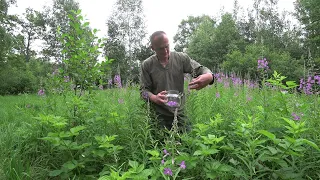 КУПИЛ ХУТОР в ЛЕСУ на КРАЮ БОЛОТА. ЖИВУ НАЕДИНЕ с ПРИРОДОЙ. №205