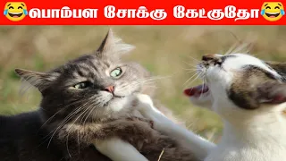 😂🦮நீ வாடி செல்லம்🐈‍⬛😂#funnyanimalvideos #trendingvideo #vairalvideo #comedyvideo #money #funnyvideo