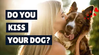 Do You Kiss Your Dog?