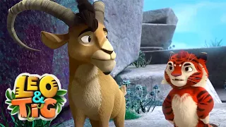 Leo and Tig 🦁 Lost - Episode 29 🐯 Funny Family Good Animated Cartoon for Kids