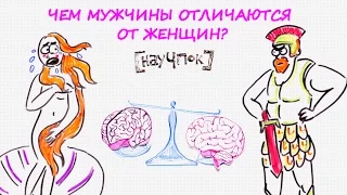 Чем мужчины отличаются от женщин? — Научпок