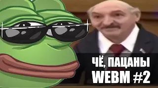 Чё пацаны WEBM? #2