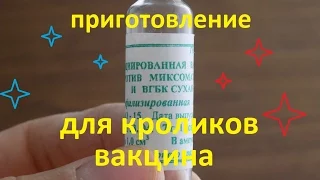 вакцина против миксоматоза и вгбк для кроликов приготовление вакцины