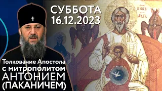 Суббота, 16 декабря 2023 года. Толкование Апостола с митр. Антонием (Паканичем).