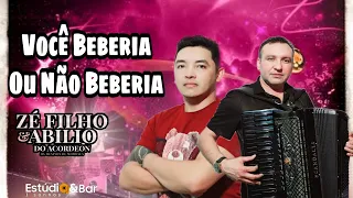 Você Beberia Ou Não Beberia (Clipe) Zé Filho e Abílio Do Acordeon Os Meninos De Mombaça