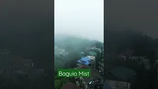 Baguio Mist