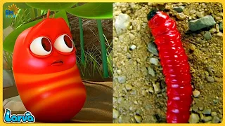 LARVA CARTOOSN FULL EPISODES: duplicate | THE BEST OF FUNNY CLIP | CARTOONS MOVIES NEW VERSION