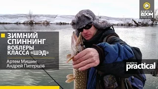 Зимний спиннинг. Воблеры класса "Шэд". Артем Мишин, Андрей Питерцов.Anglers Practical