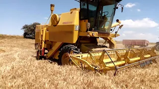 Ahmet Ağa buğday 1530 New Holland biçerdöver