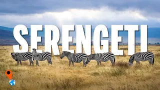 SERENGETI: A Journey Through The African Savannah | Travel Video