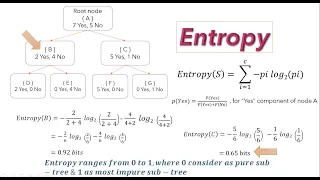 Decision Tree (Basic Intuition - Entropy, Gini Impurity & Information Gain) | NerdML