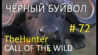 theHunter Call of the Wild С ЛУКОМ НА ЧЁРНОГО БУЙВОЛА # 72