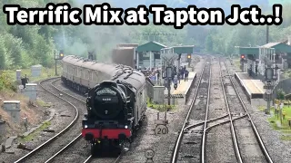 Steam, Pullman, Double & TREBLE Headed at Tapton Junction - GREAT Mix of Workings! 08/05/24