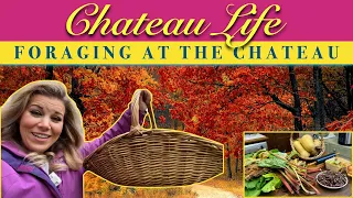 Chateau Life 🏰 EP 36 : FORAGING AT THE CHATEAU!