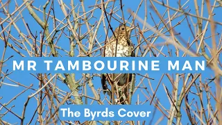 The Byrds (Bob Dylan) - Mr Tambourine Man Cover | UK wild birds