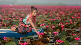 ខ្លុយកំសត់-Flute Relaxing #musicrelaxing #flute #khmer #sleepmusic #nature #2023